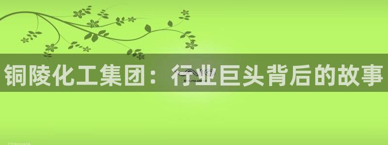 球盟会登陆中心