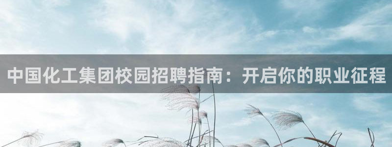 球盟会吧