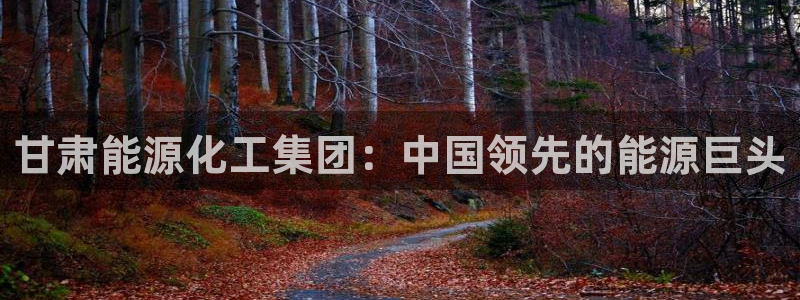 球盟会APP下载