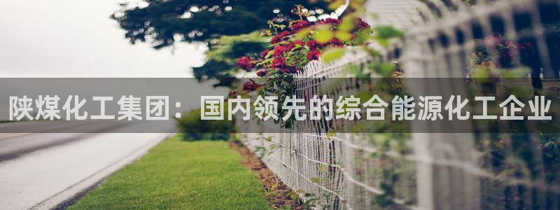 球盟会几点玩合适：陕煤化工集团：国内领先的综合能源化工企业