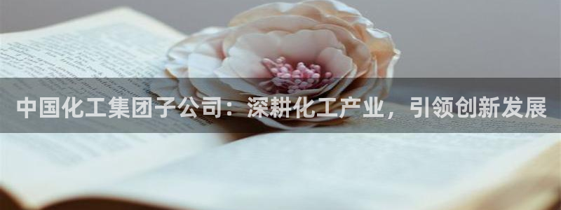 球盟会黑款吗知乎