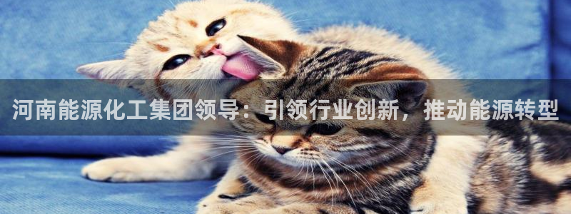 球盟会唯一：河南能源化工集团领导：引领行业创新，推动能源转型