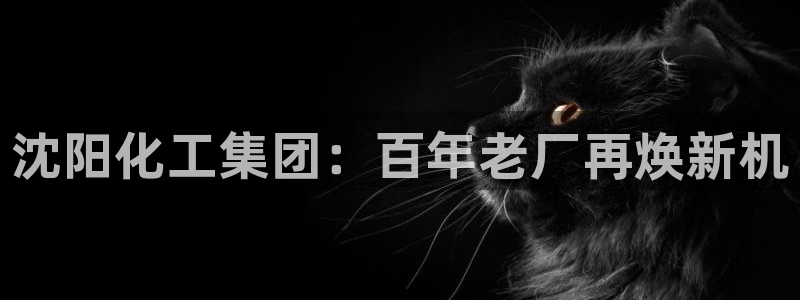 球盟会官方网站是什么