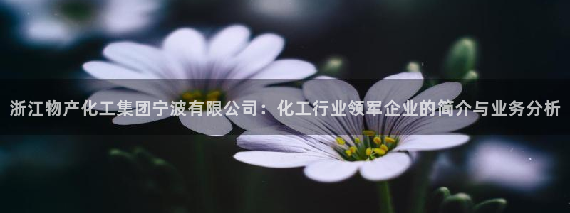 球盟会App：浙江物产化工集团宁波有限公司：化工行业领军企业