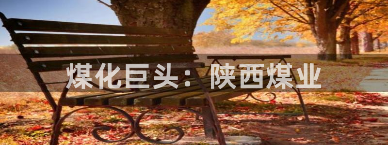 球盟会中国官方网站
