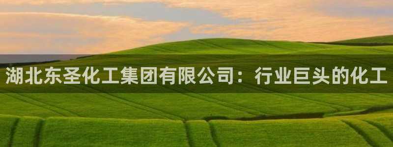 球盟会app网址多少号