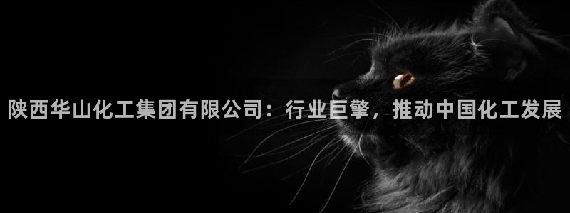 球盟会黑款吗知乎