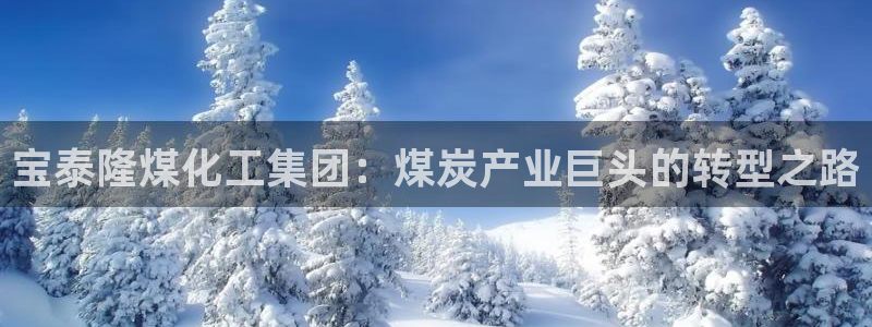 球盟会qmh网页版登录 - qm球盟会官方网站