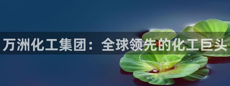 球盟会综合体育平台怎么样