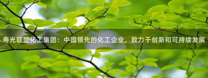 球盟会在线官网：寿光联盟化工集团：中国领先的化工企业，致力于