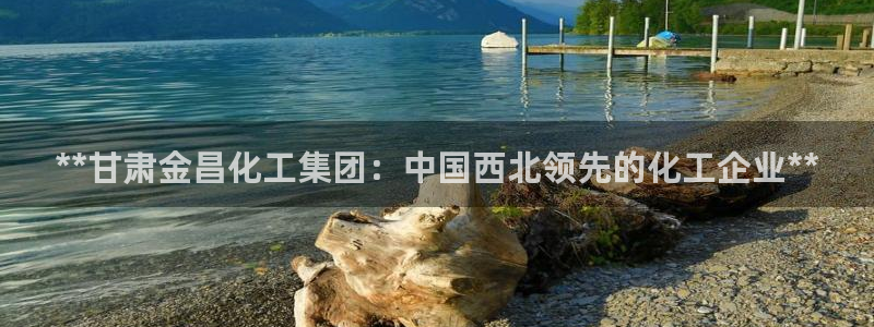 球盟会电子游戏平台：**甘肃金昌化工集团：中国西北领先的化工