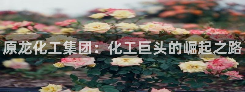 球盟会APP官网
