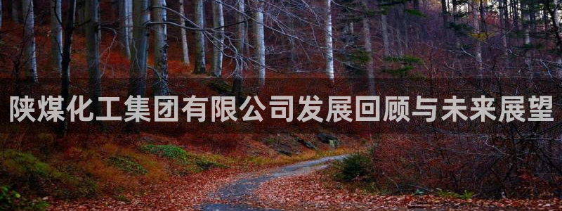 球盟会娱乐平台：陕煤化工集团有限公司发展回顾与未来展望