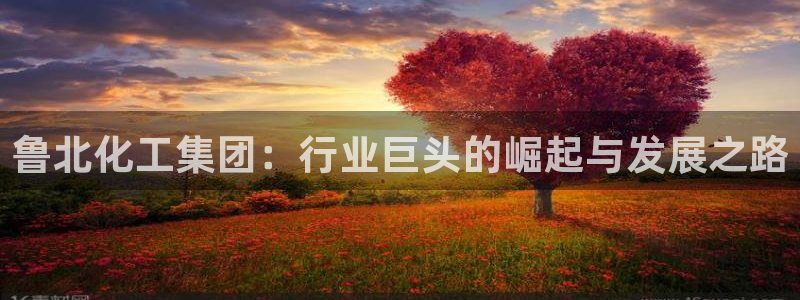 球盟会app手机登录