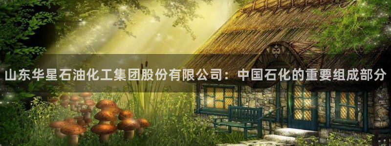 球盟会app网址多少号