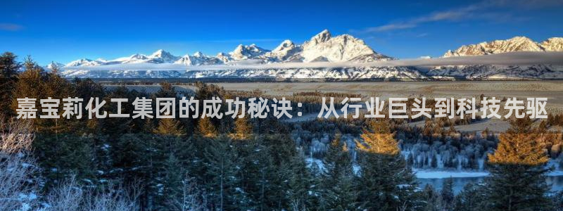 球盟会进不去吗
