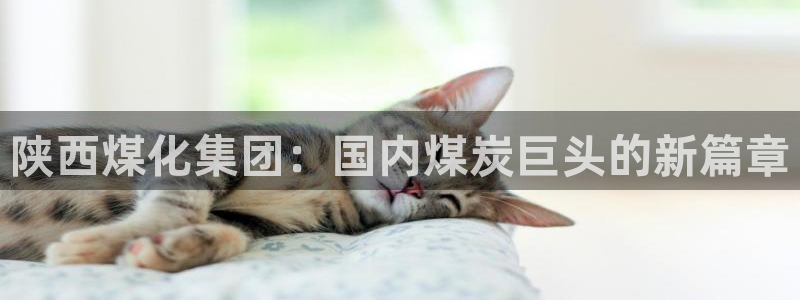 球盟会在线登录