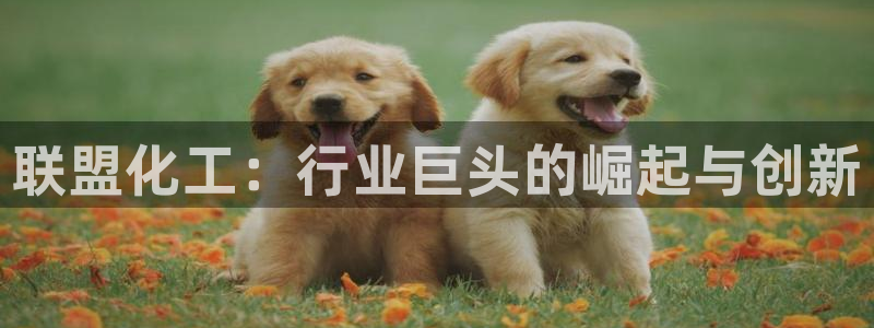 球盟会黑钱