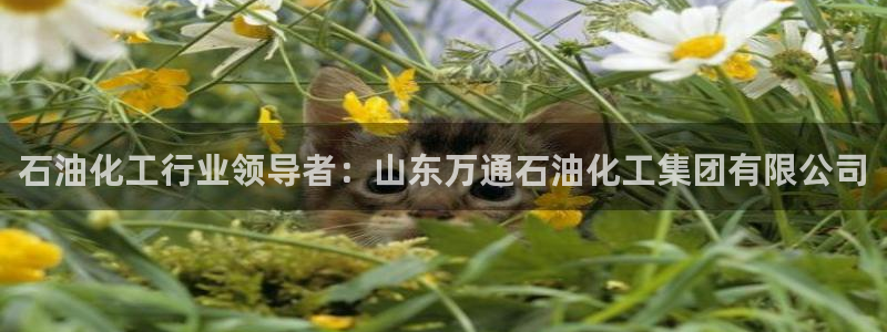 球盟会在线登录官网