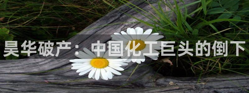 球盟会平台怎么样