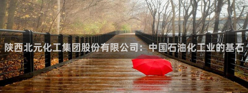球盟会官方登录平台