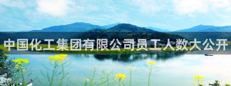 球盟会在线网站
