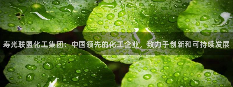 球盟会qmh电子网页版登录：寿光联盟化工集团：中国领先的化工