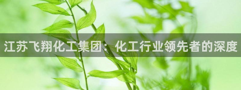 球盟会qm：江苏飞翔化工集团：化工行业领先者的深度