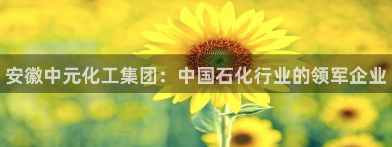 球盟会体验金