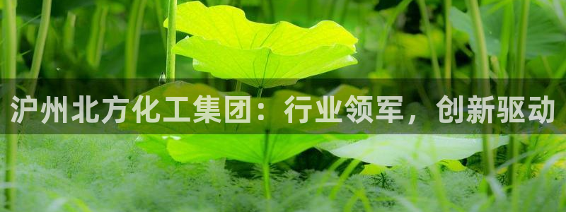 球盟会电子好黑