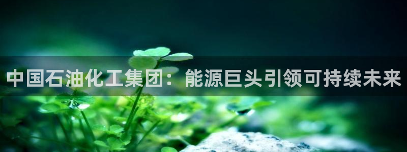 球盟会体验金球奖吗：中国石油化工集团：能源巨头引领可持续未来