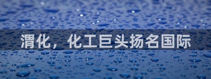 球盟会和中欧会的区别：渭化，化工巨头扬名国际