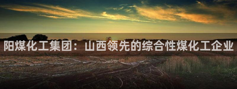 球盟会有没有黑单的人：阳煤化工集团：山西领先的综合性煤化工企