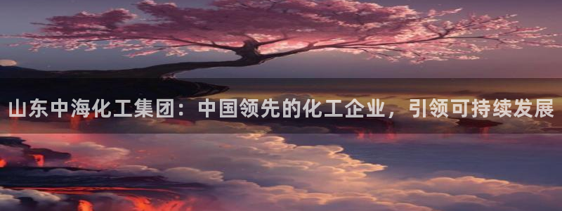 球盟会官方网站：山东中海化工集团：中国领先的化工企业，引领可