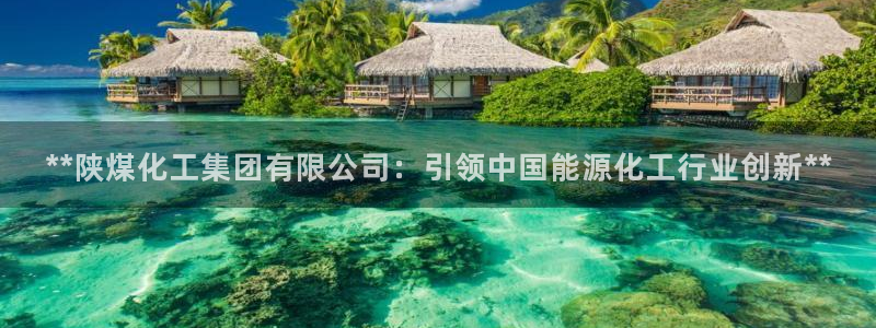球盟会登录平台入口：**陕煤化工集团有限公司：引领中国能源化