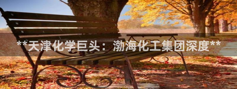 球盟会有没有黑单的：**天津化学巨头：渤海化工集团深度**