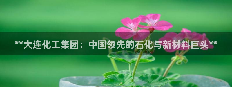 球盟会体验金：**大连化工集团：中国领先的石化与新材料巨头*