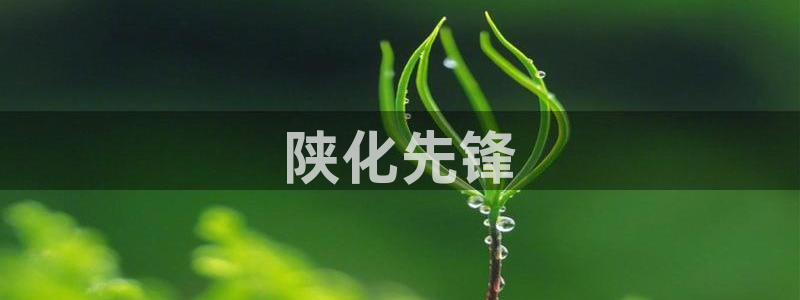 球盟会能退钱吗：陕化先锋