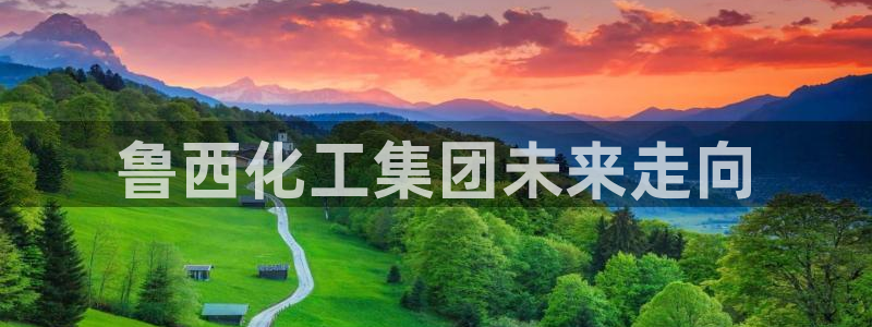 球盟会最新网：鲁西化工集团未来走向