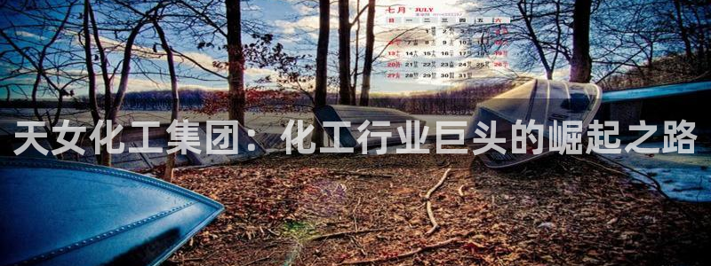 球盟会官方平台入口