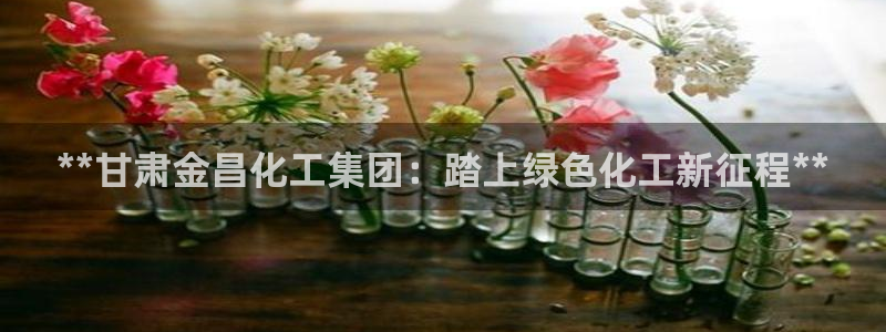 球盟会网页版登陆：**甘肃金昌化工集团：踏上绿色化工新征程*