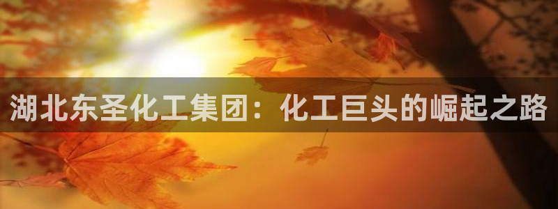 球盟会唯一