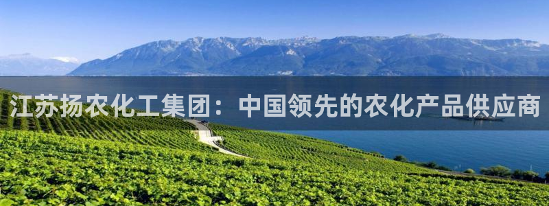球盟会qmh网页版登录 - qm球盟会官方网站：江苏扬农化工