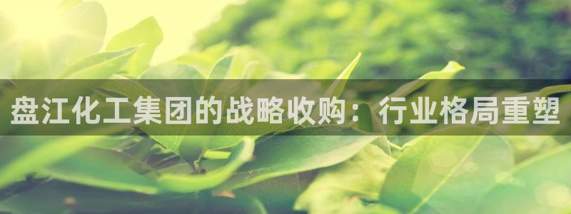 球盟会