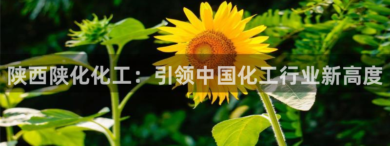 球盟会App