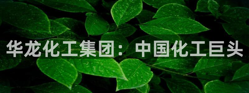球盟会几点玩合适