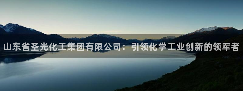 球盟会官方客服：山东省圣光化工集团有限公司：引领化学工业创新