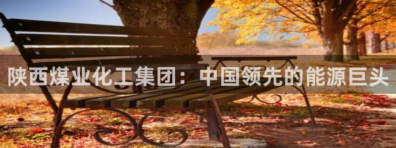 球盟会app：陕西煤业化工集团：中国领先的能源巨头