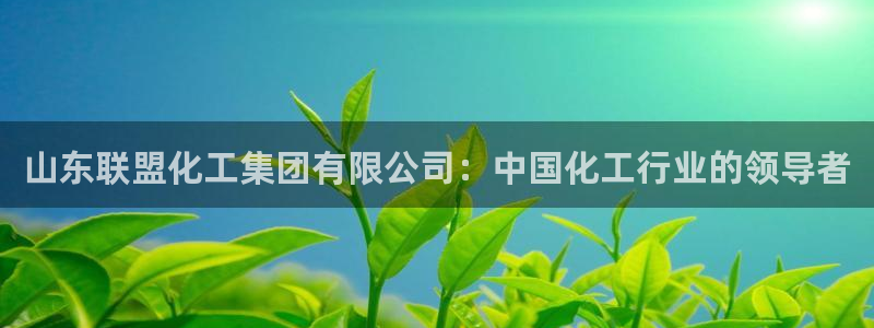 球盟会地址：山东联盟化工集团有限公司：中国化工行业的领导者