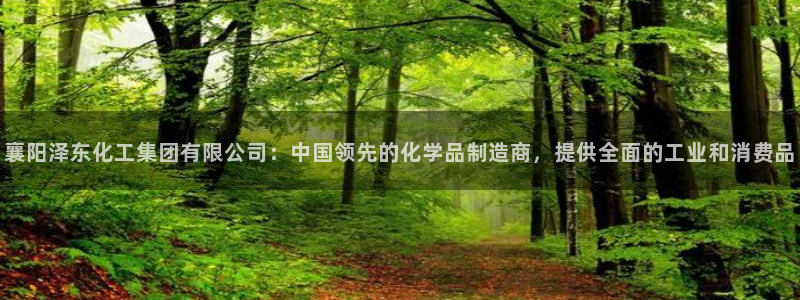 球盟会里面有打牌的嘛是真的吗：襄阳泽东化工集团有限公司：中国